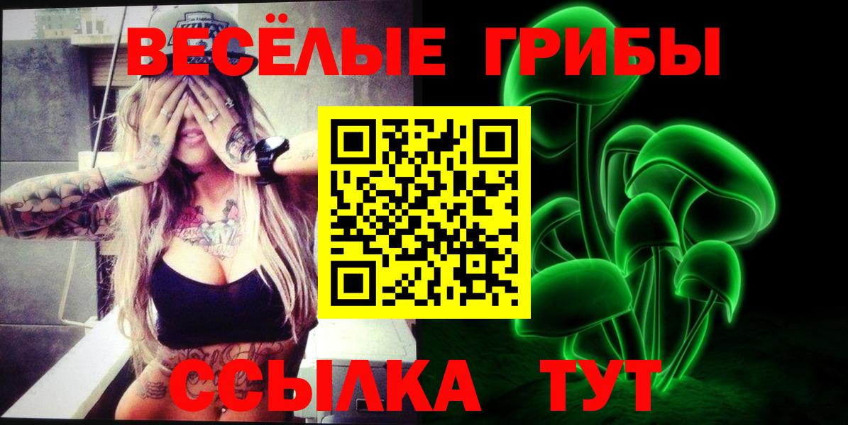 Галлюциногенные грибы Magic Shrooms  Вход с VPN  Сокол  Псилоцибиновые грибы мухоморы 
